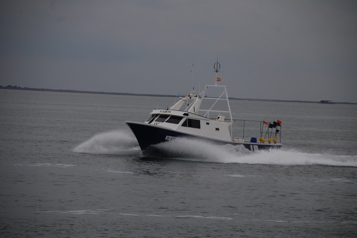 Imagen de Capitol 9 - 2009